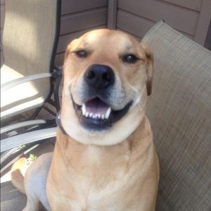 Meet your Posher, Toni